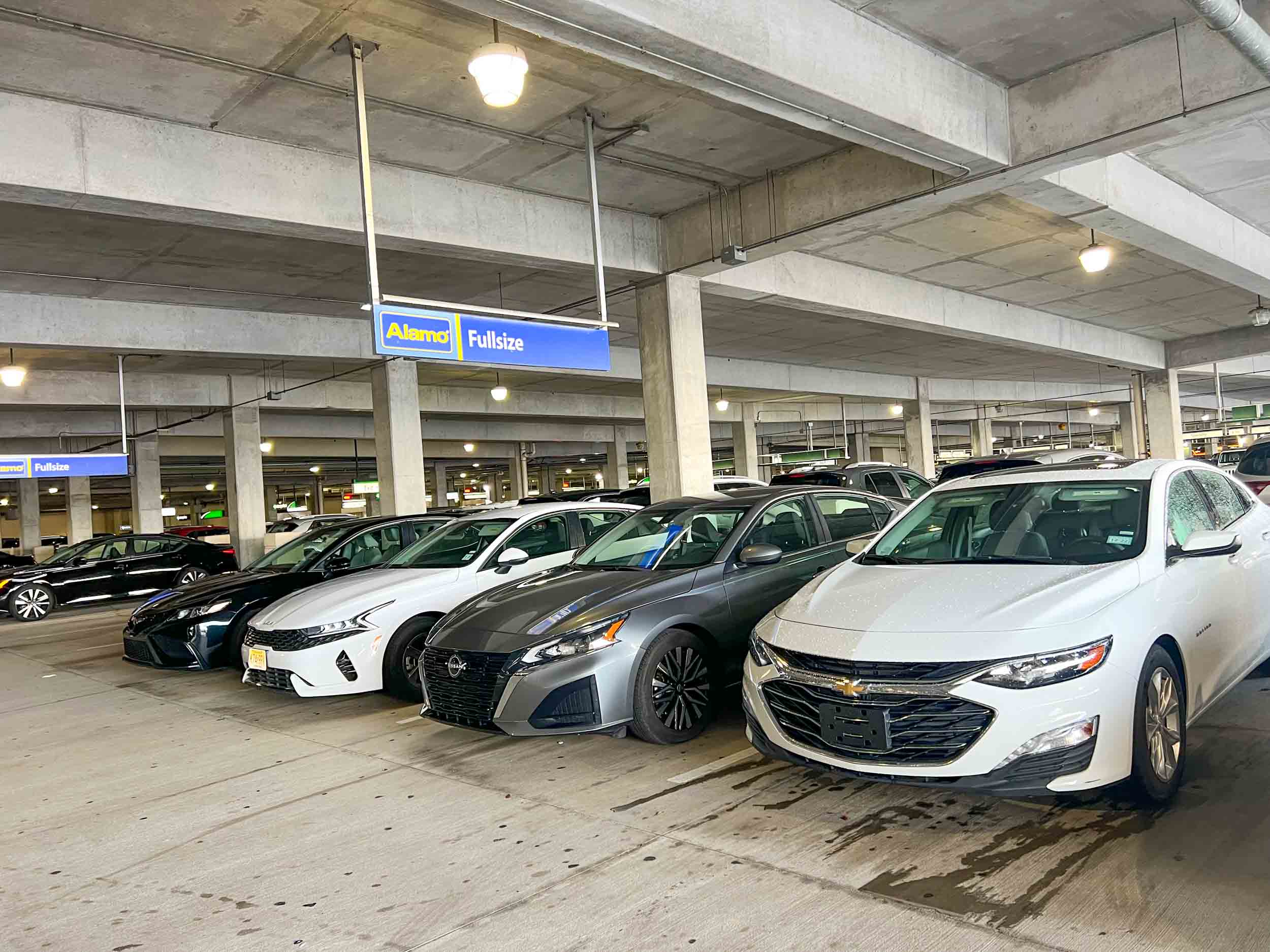 Alamo Versicherungsübersicht