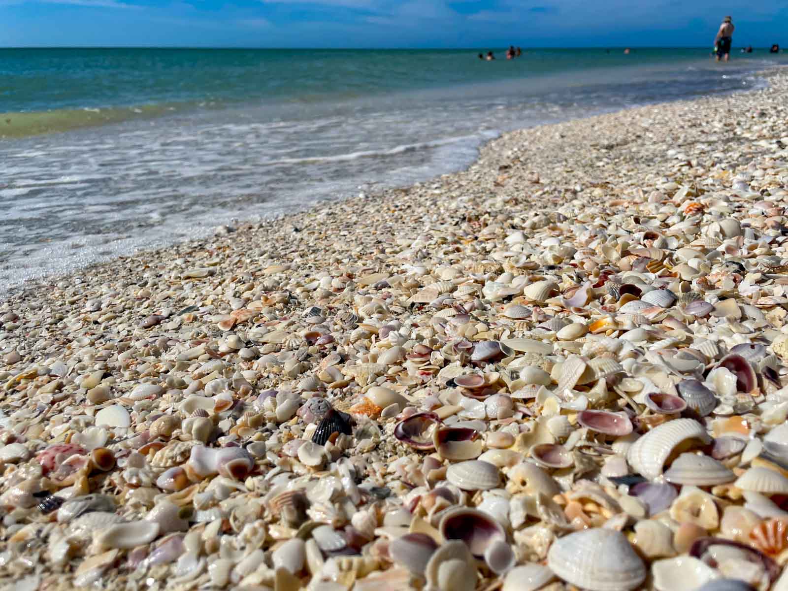 Reiseführer Florida