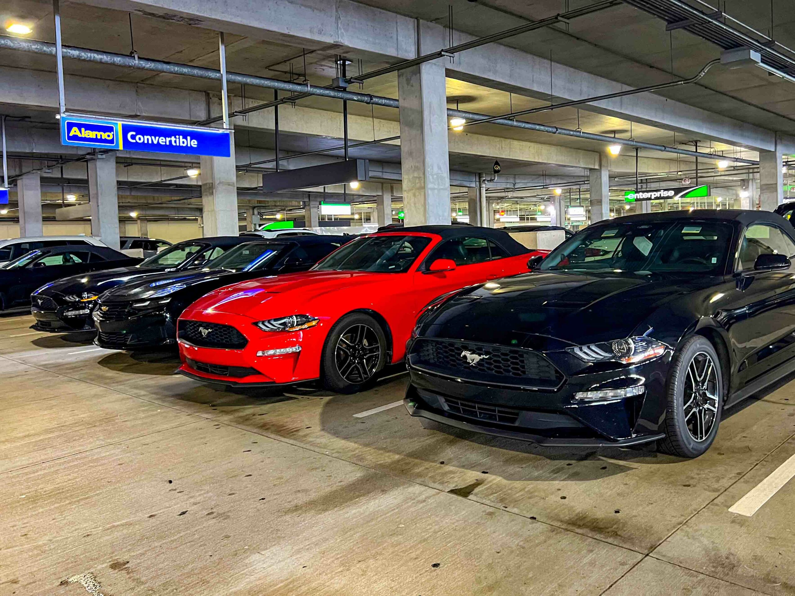 Mietwagen Florida Alamo