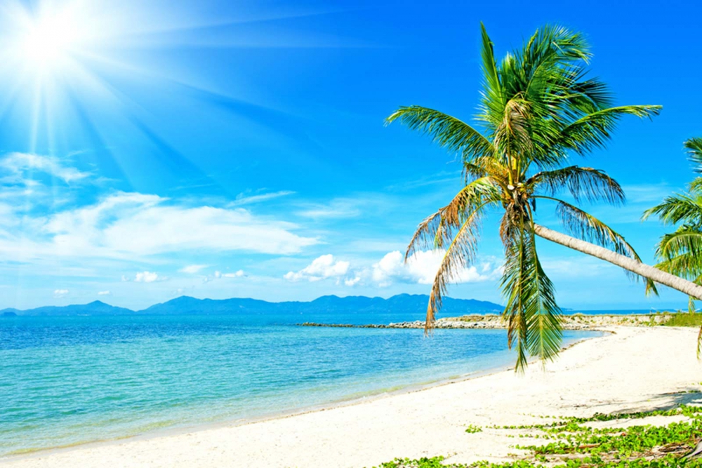 Bahamas Tagesausflug von Miami