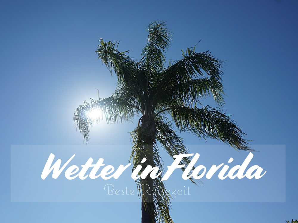 Wetter und Klima in Florida – Beste Reisezeit