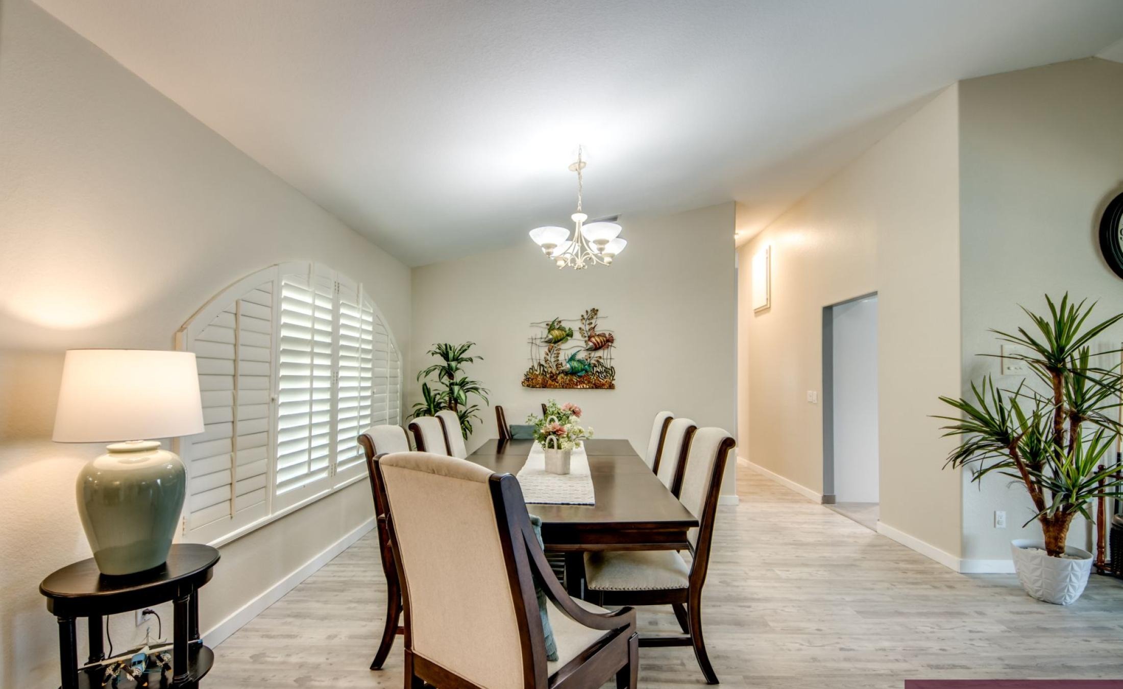 Sonniges Pooldeck mit beheiztem Pool und Blick auf den Kanal.
