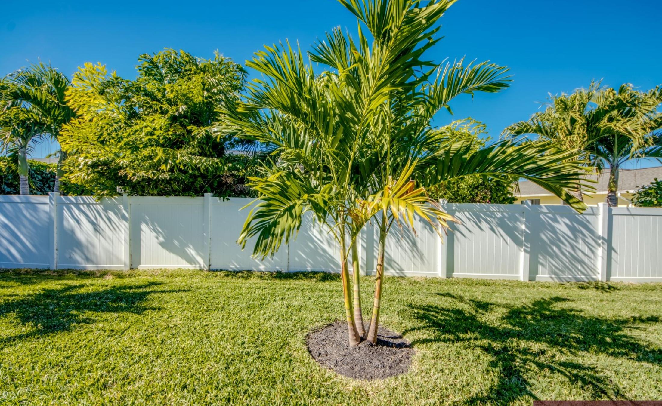Beheizter Pool mit Spa/Jacuzzi auf der sonnigen Terrasse.