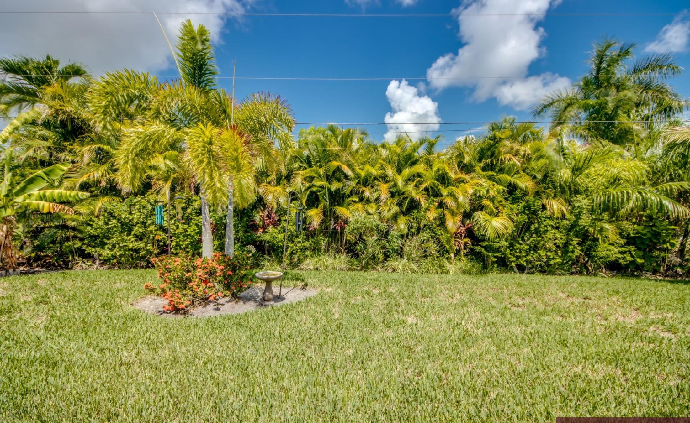 Ferienhaus-Cape-Coral-Marie-Angeline_79-Backyard