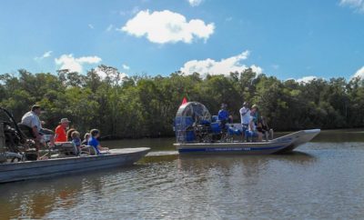 Everglades National Park Florida- Die top Tipps & Touren