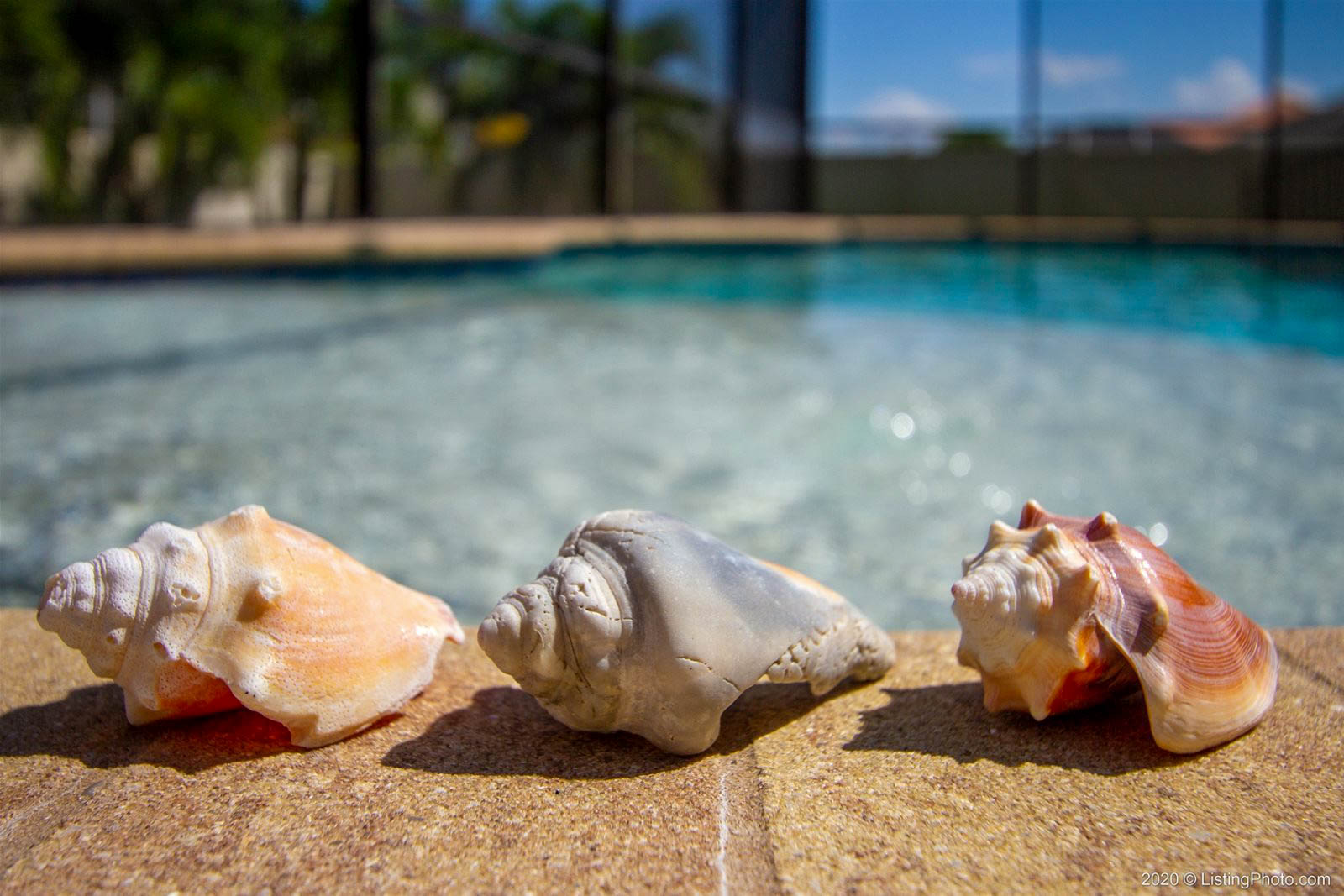 Ferienhaus Cape Coral 14 24