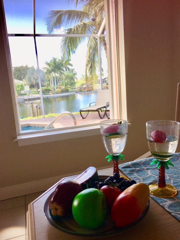 floridablog cape coral 96 2 2