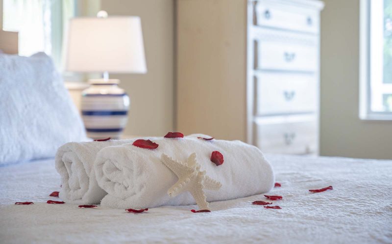 floridablog cape coral 132 3 2