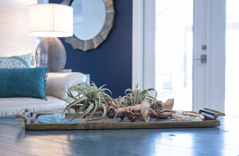 floridablog cape coral 143 7 1