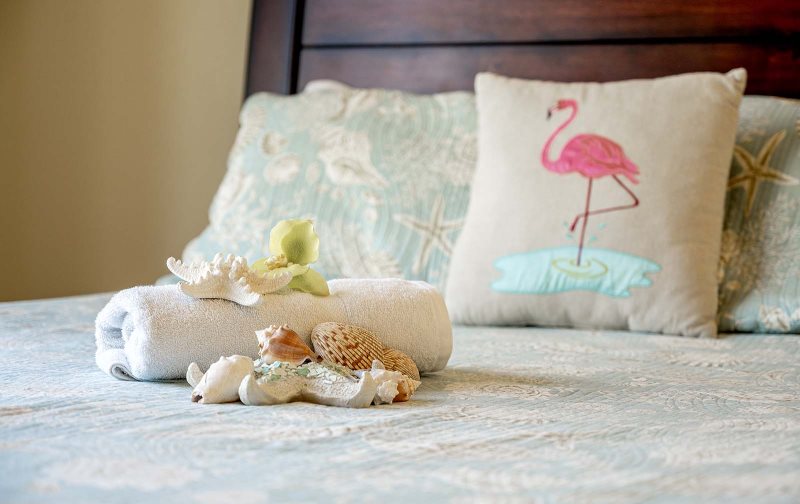 floridablog cape coral 154 5 2