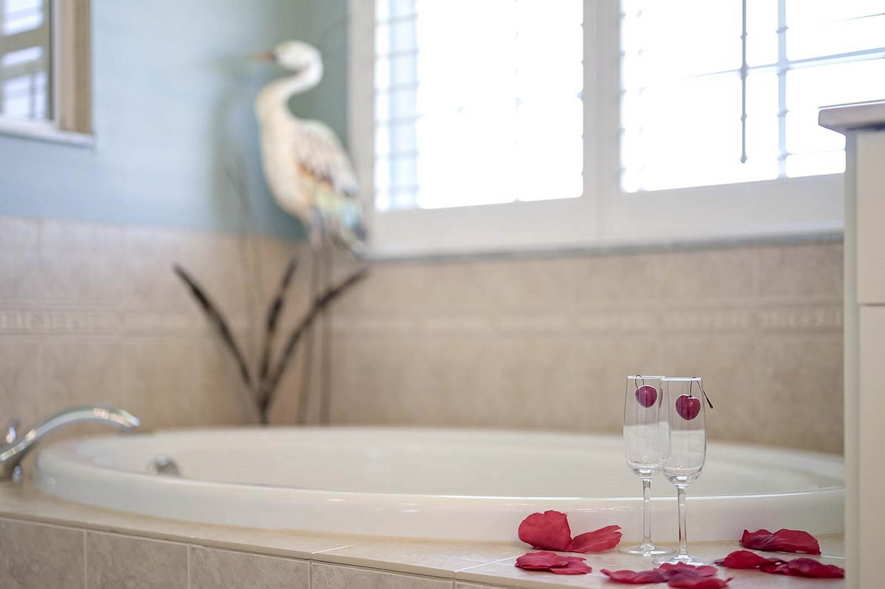 Ferienhaus Cape Coral Floridablog192 21