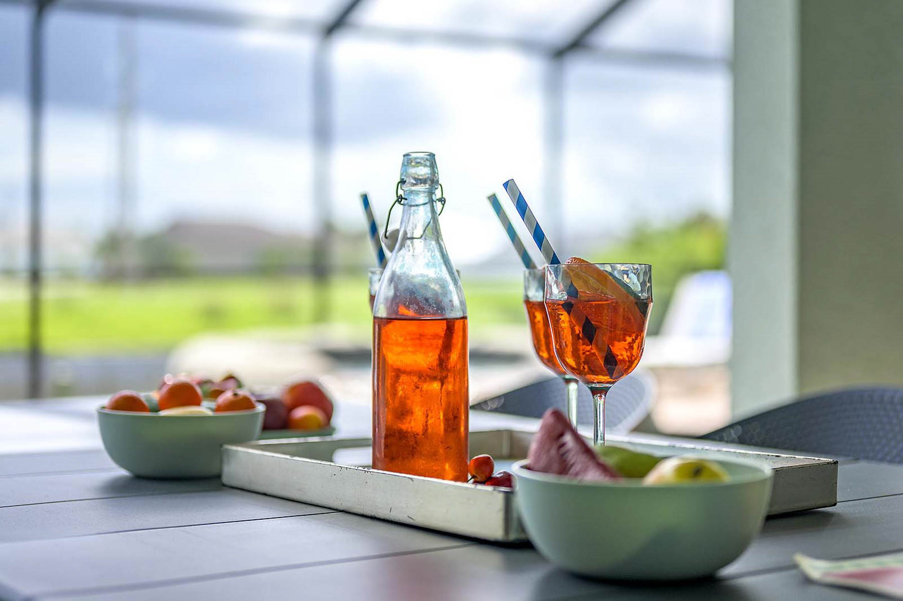 Ferienhaus Cape Coral Floridablog198 28