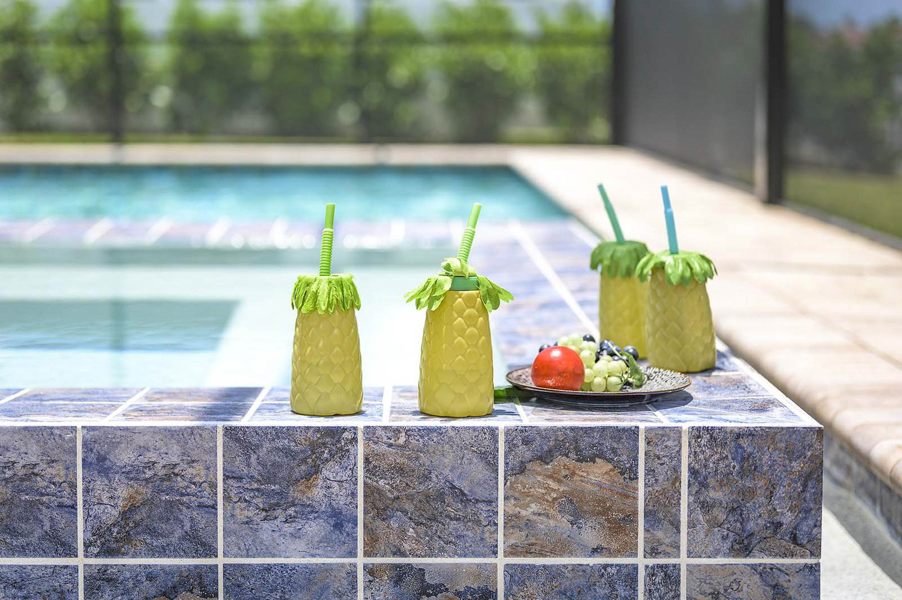 Ferienhaus Cape Coral Floridablog205 3